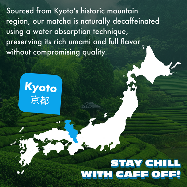 Vanilla Bean Decaf Matcha Sticks