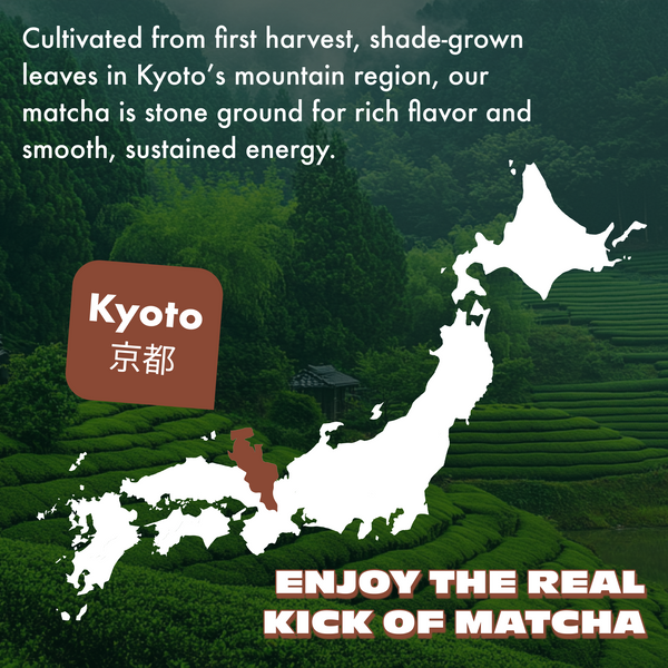 Chocolate Fudge Caffeinated Matcha
