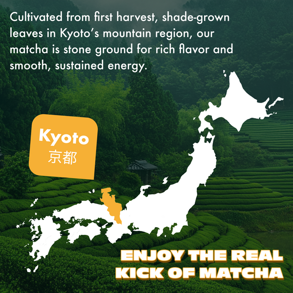 Mango Tango Caffeinated Matcha
